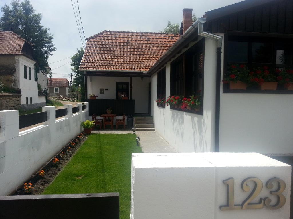 Hotel Casa Demeter Rimetea Esterno foto