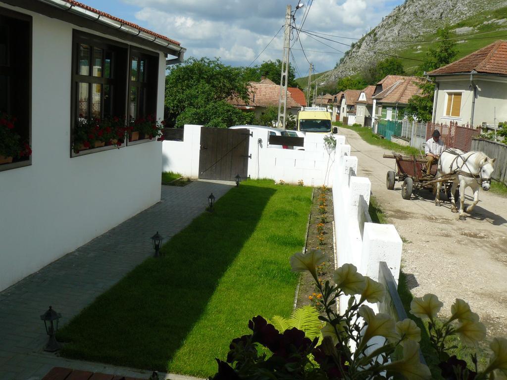 Hotel Casa Demeter Rimetea Esterno foto